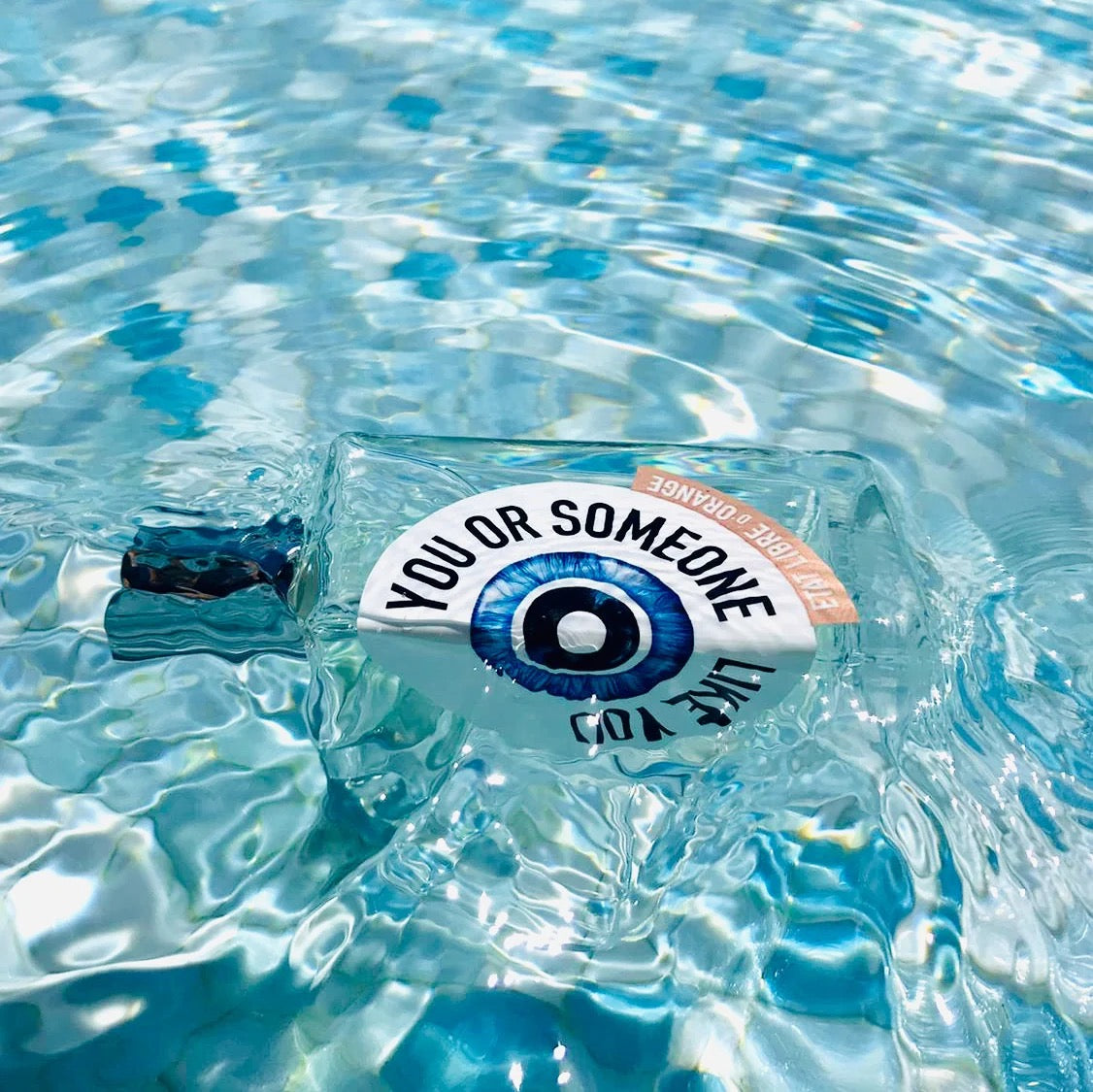 YOU OR SOMEONE LIKE YOU