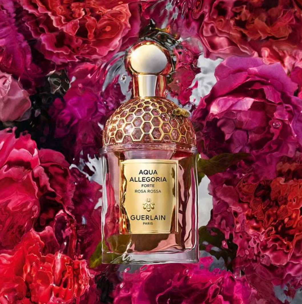ROSA ROSSA FORTE
